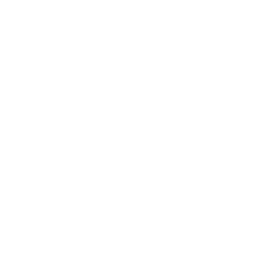 Poppy Floral
